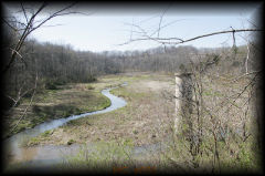 _mg_4656.jpg 29.1K
