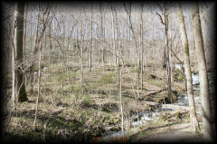_mg_4684.jpg 34.2K