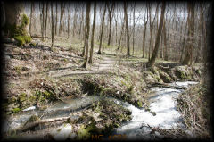 _mg_4689.jpg 36.0K