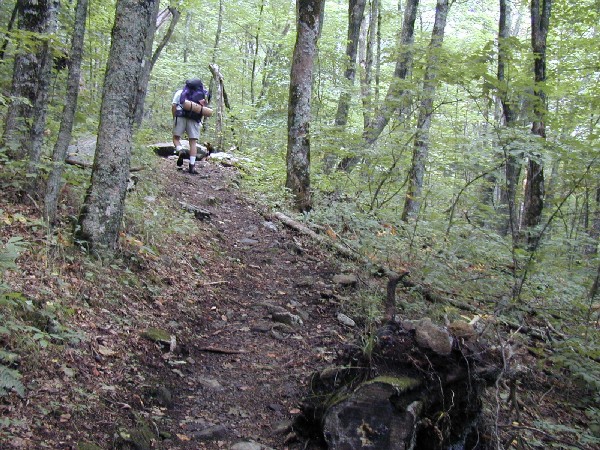 Al Climbs ahead.jpg 132.0K