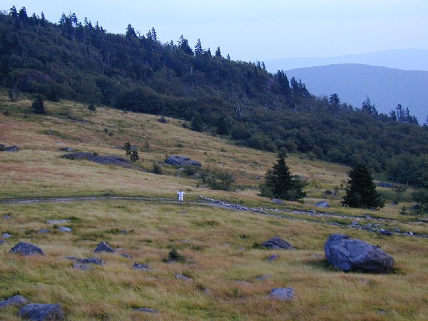 Al in the meadow.jpg 75.7K