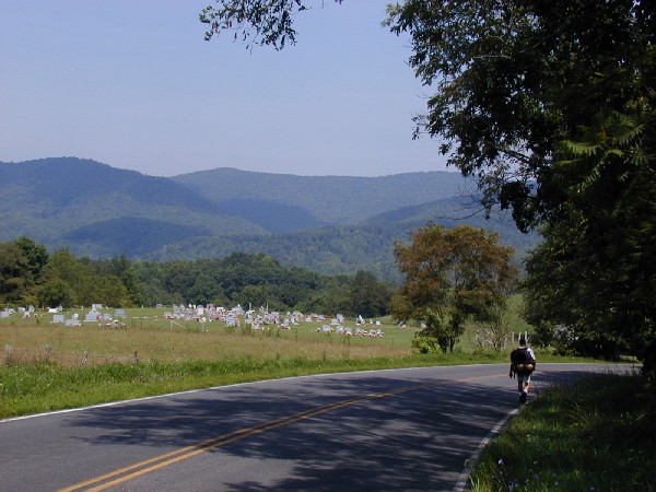 Down the road.jpg 76.6K