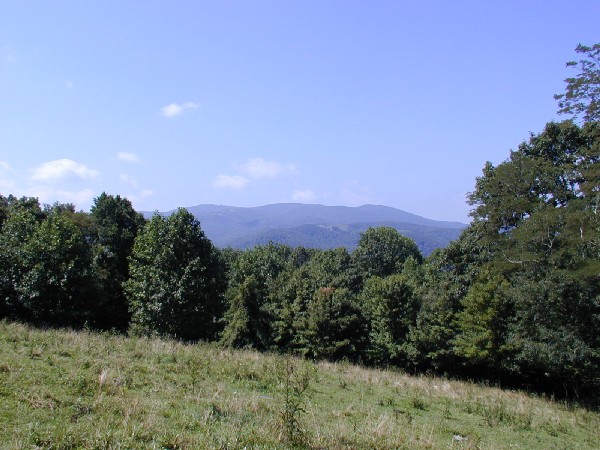 First view, halfway up to WhiteTop.jpg 79.5K