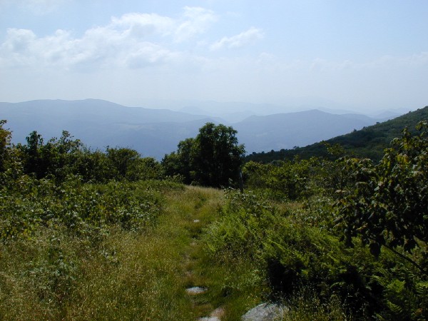 Just below Buzzards Rock.jpg 77.5K