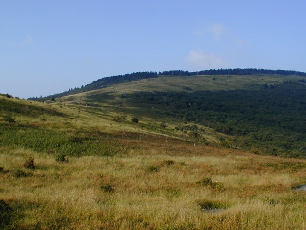 Looking at the top of WhiteTop.jpg 68.2K