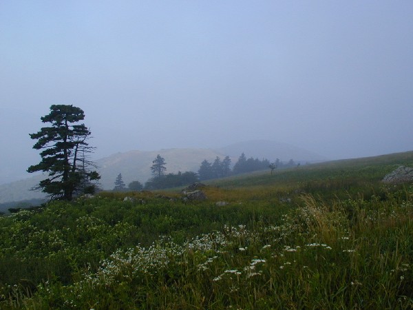 Looking down at Buzzards Rock.jpg 56.2K