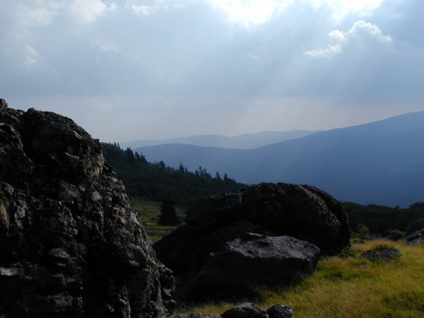 Meadow 1.jpg 46.6K