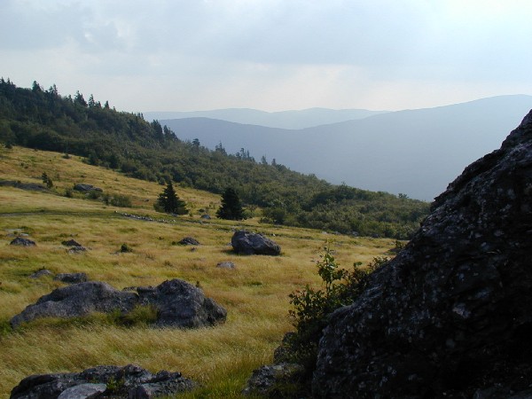 Meadow 4.jpg 64.3K