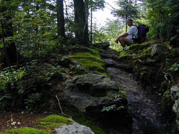 Resting in a cool spot.jpg 110.5K