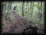 Al Climbs ahead.jpg 6.1K