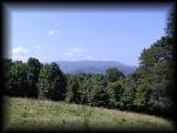 First view, halfway up to WhiteTop.jpg 4.3K