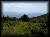 Just below Buzzards Rock.jpg 4.1K