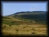 Looking at the top of WhiteTop.jpg 3.7K