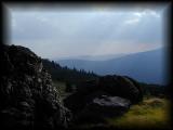 Meadow 1.jpg 3.2K