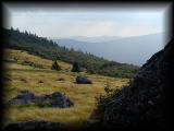 Meadow 4.jpg 3.9K