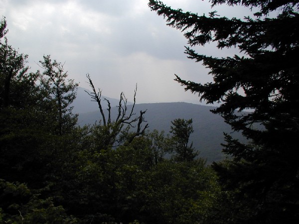 We were over there this morning.jpg 69.7K