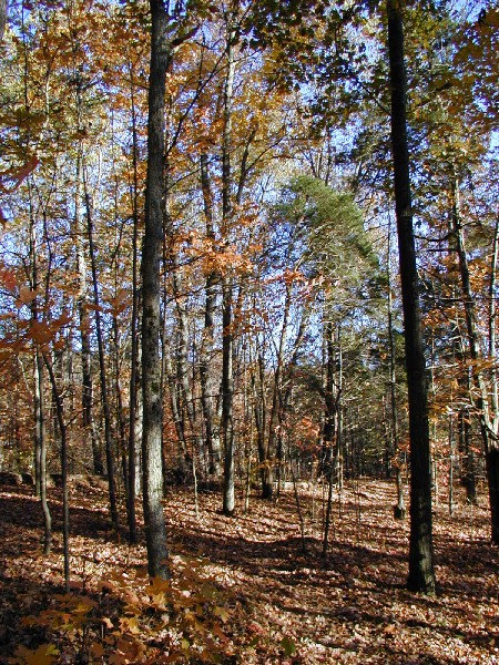 pa243151.jpg 168.3K