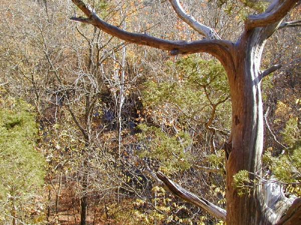 pa243158.jpg 155.5K