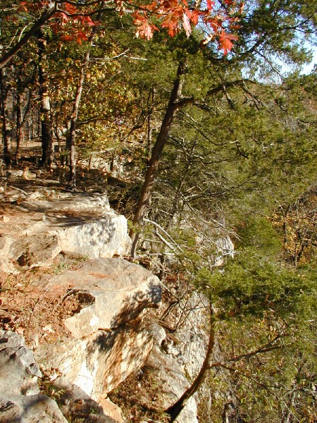 pa243159.jpg 150.0K