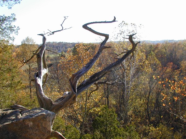 pa243161.jpg 109.4K