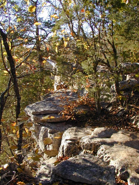 pa243164.jpg 150.8K