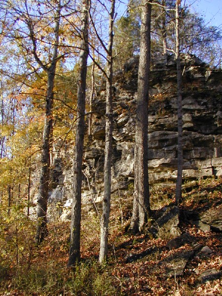 pa243176.jpg 146.2K