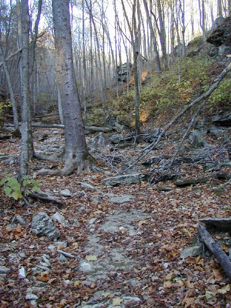 pa243187.jpg 140.4K