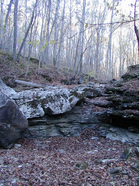 pa243193.jpg 138.9K