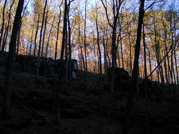 pa243199.jpg 110.3K