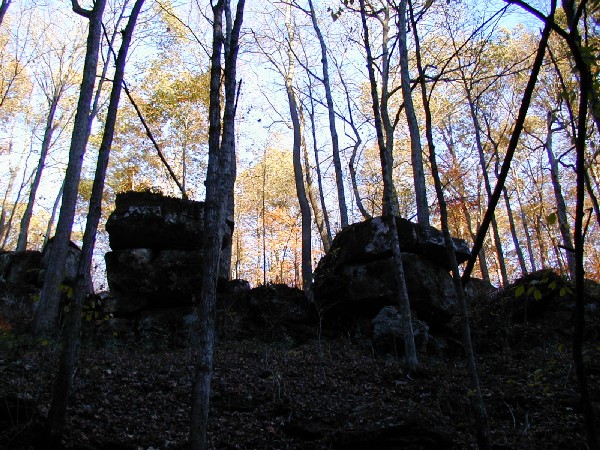 pa243202.jpg 124.3K