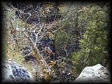 pa243152.jpg 8.1K