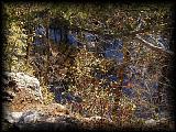 pa243167.jpg 8.4K