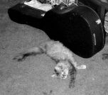 02 CHEN AND GUITAR CASE.jpg 4.5K