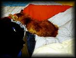 00 CHEN, LOUNGING WITH LAUNDRY 1.jpg 4.9K