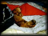 00 CHEN, LOUNGING WITH LAUNDRY 2.jpg 5.7K