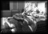 04 CHEN ENJOYING PAPASAN CUSHION IN THE SUN.jpg 4.8K