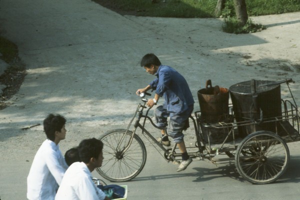 Trike with load.jpg 56.9K