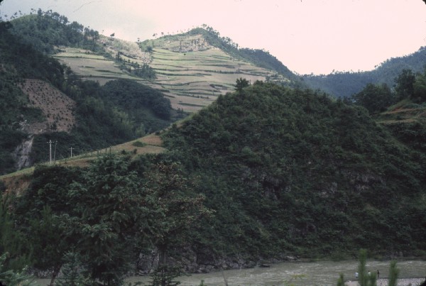 guandong000.jpg 60.9K