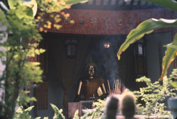 guandong008.jpg 56.7K