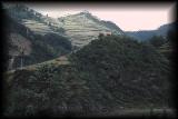 guandong000.jpg 3.6K