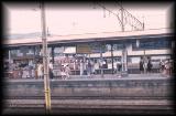 japan011.jpg 4.6K