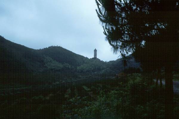 Dragon pagoda near Ningbo.jpg 22.0K