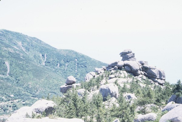 Hills near QingDao.jpg 65.9K
