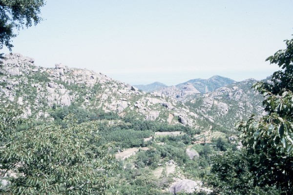 Hills near QingDao 3.jpg 86.9K