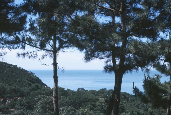 Ocean near QingDao.jpg 81.2K
