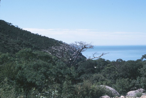 Ocean near QingDao 2.jpg 58.1K