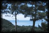 Ocean near QingDao.jpg 5.0K