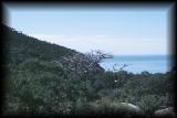 Ocean near QingDao 2.jpg 3.6K