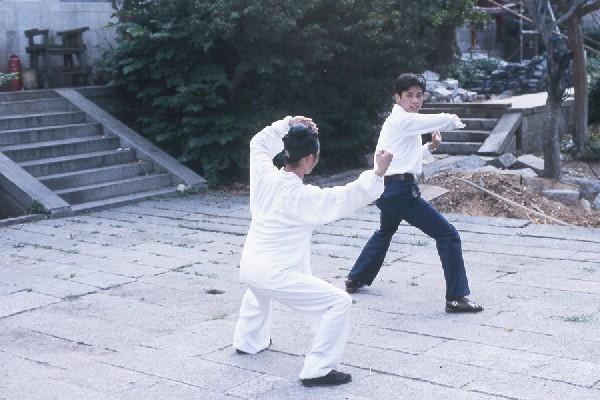 Yang SiLiang practicing taiji.jpg 69.8K