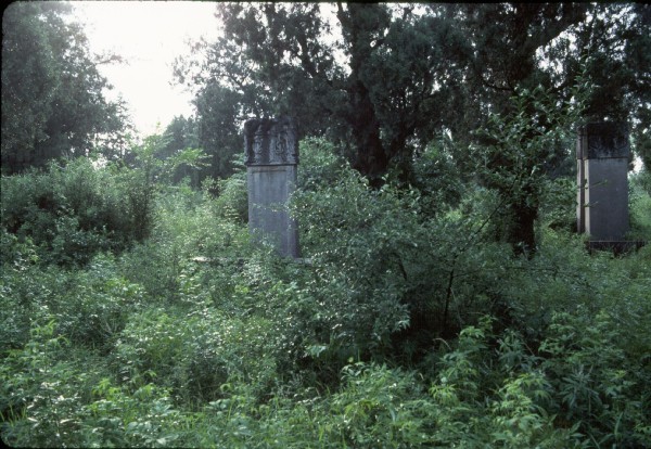Confucius temple, Kung family graveyard 4.jpg 96.9K